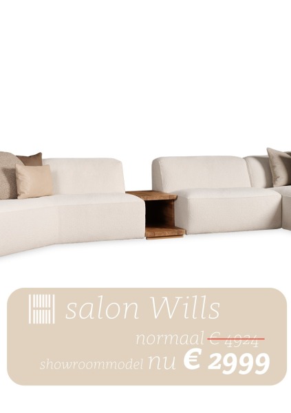 Salon Wills main image