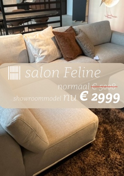 Salon Feline main image